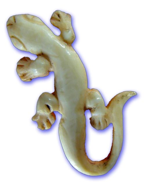 Carve sacred ivory gecko amulet Luang Phu Nai