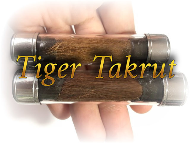 Tiger Takrut Sao Ha Edition 2553 BE LP Nong